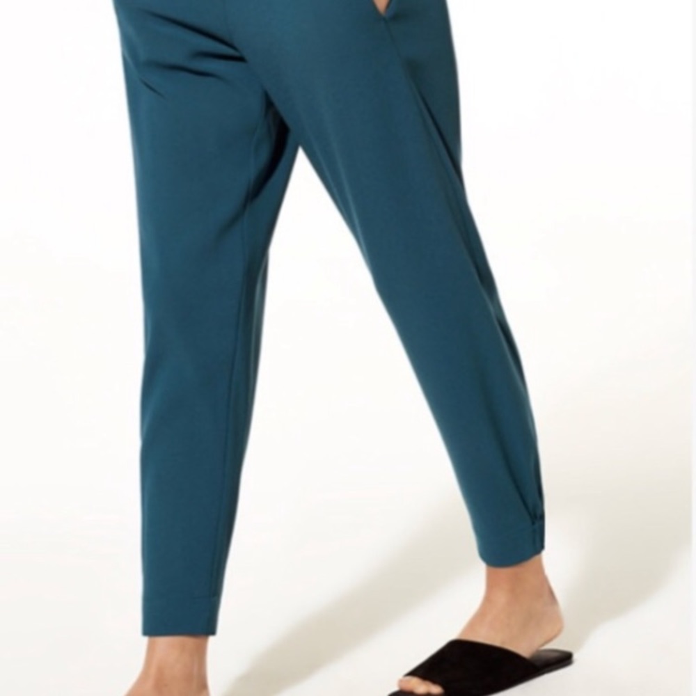 Dexter Aritzia Blue Pants!